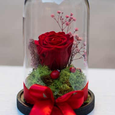 Cupola, trandafir criogenat , cadoul perfect, aranjamente florale, flori Sibiu