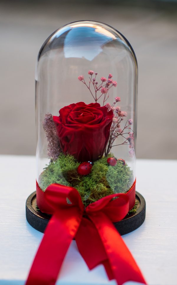 Cupola, trandafir criogenat , cadoul perfect, aranjamente florale, flori Sibiu